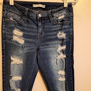 BKE Daytrip Refined Lynx Skinny Distressed Jeans.
